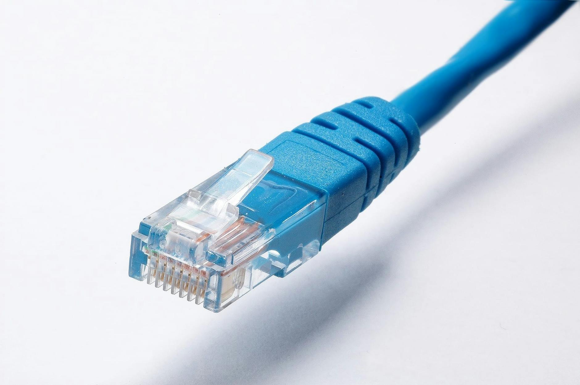 Niebieska wtyczka kabla Ethernet na białym tle, symbol internetu