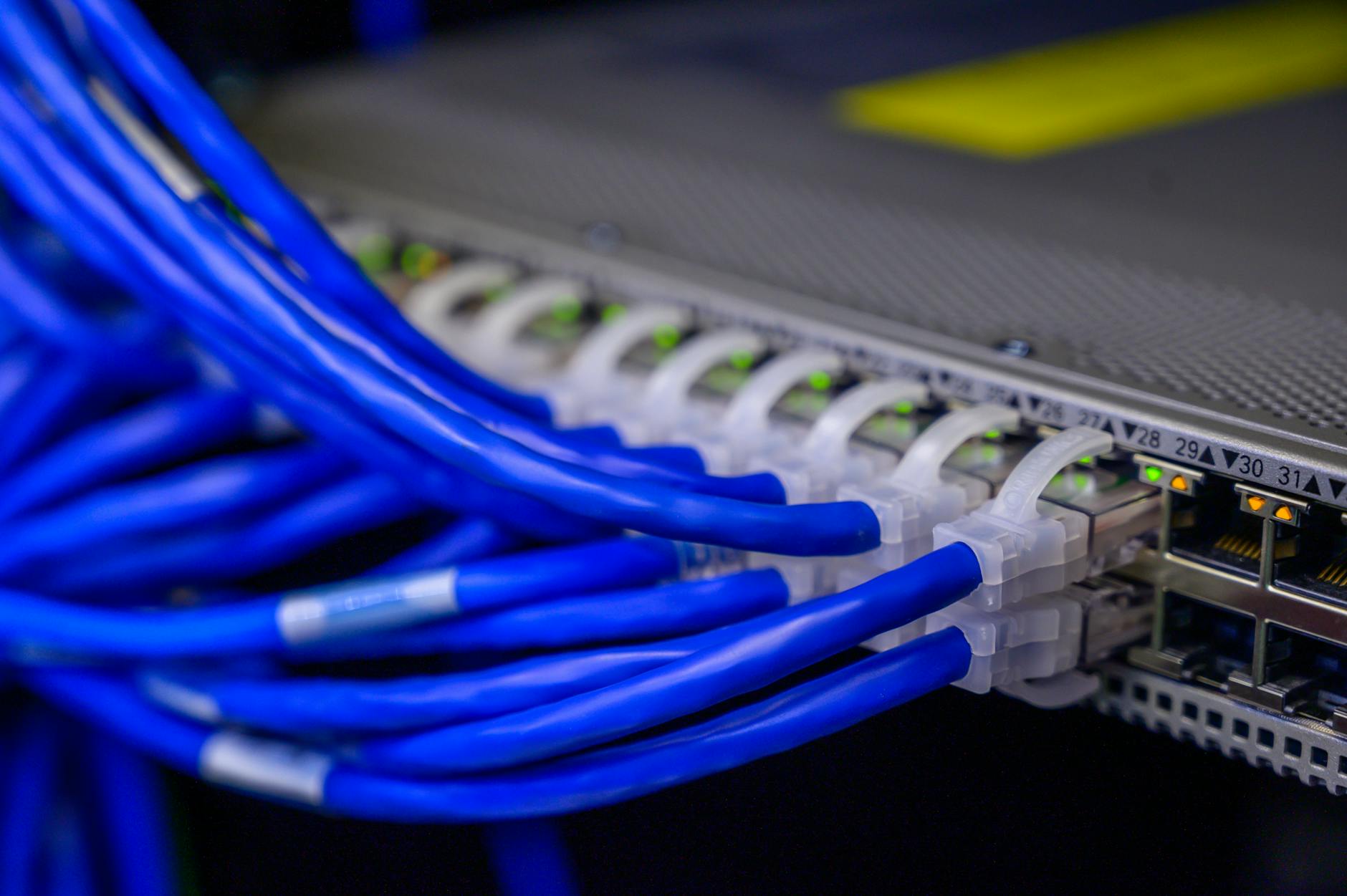 Niebieskie kable Ethernet podłączone do przełącznika sieciowego w serwerowni